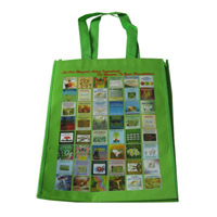 固原LB11覆膜无纺布广告袋